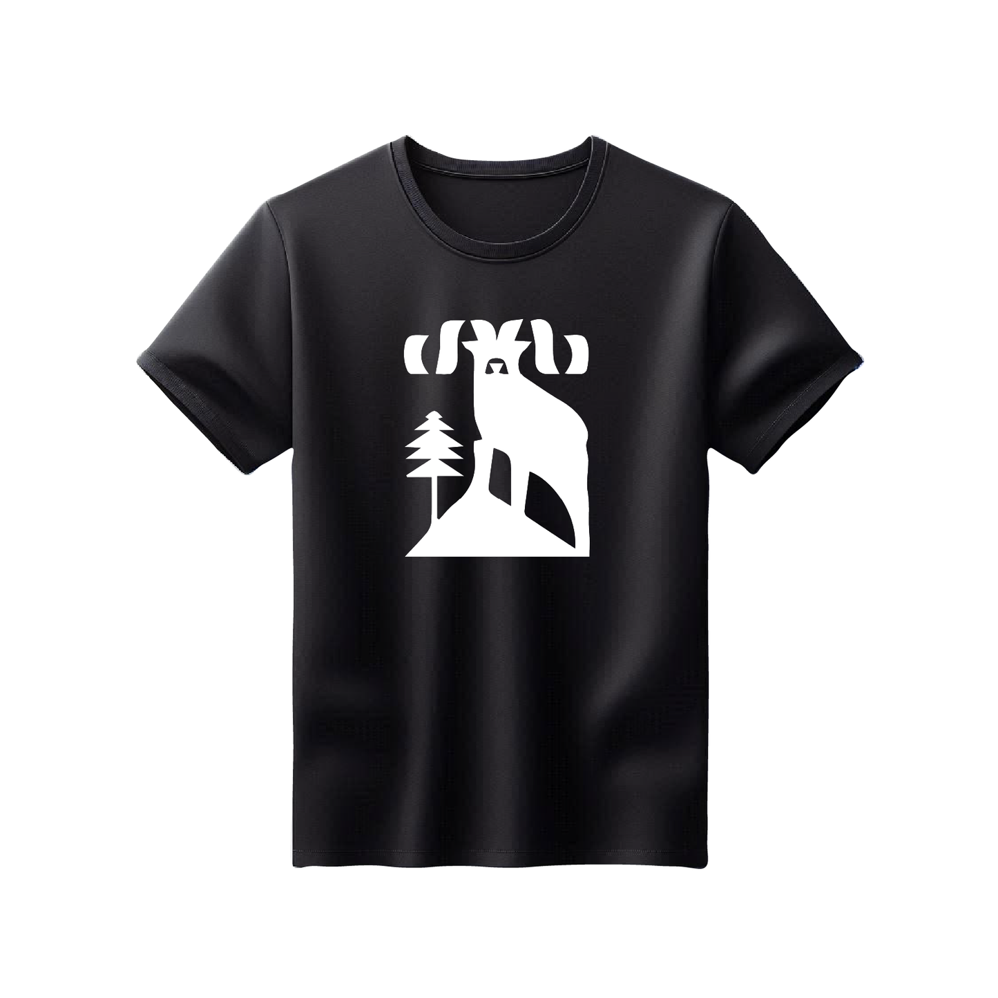 National Park - Style #2 - Mens Printed 100% Cotton T-Shirt (Black)